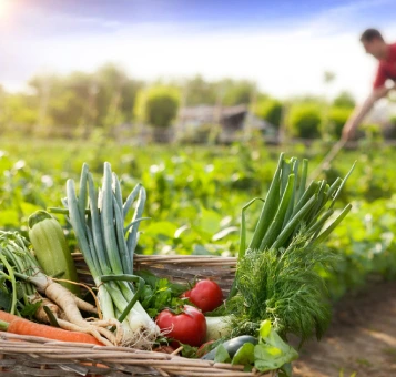 Organic Farming